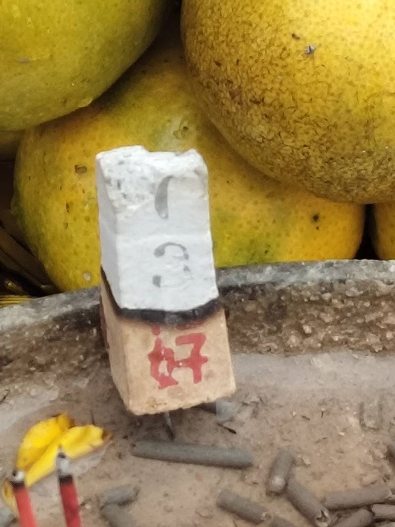 ลิลลี่ เหงียน รำฟาด หมอเขมร