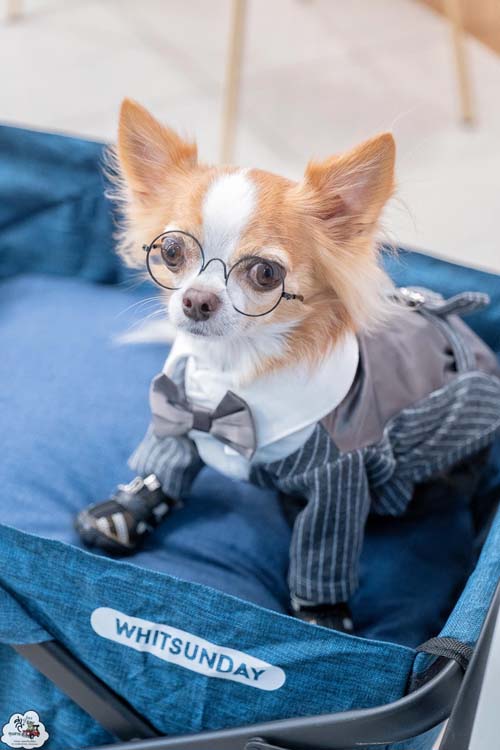 คลินิกความงาม  