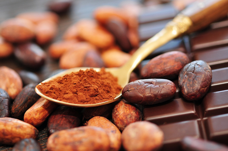 Cacao