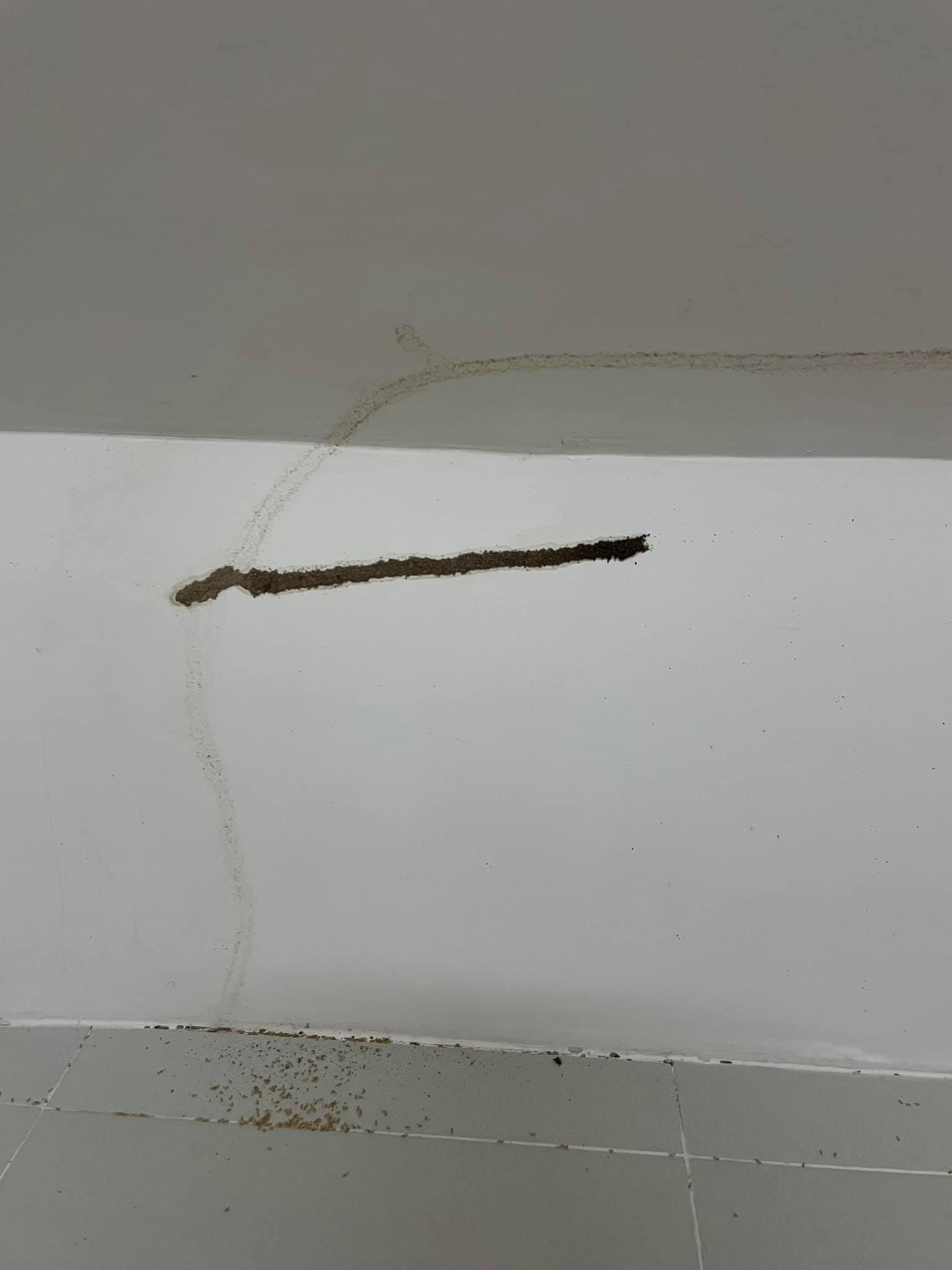 หนักแน่น นรินทร์โชติ 