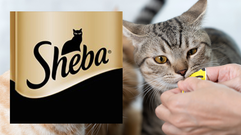 ขนมแมวเลีย