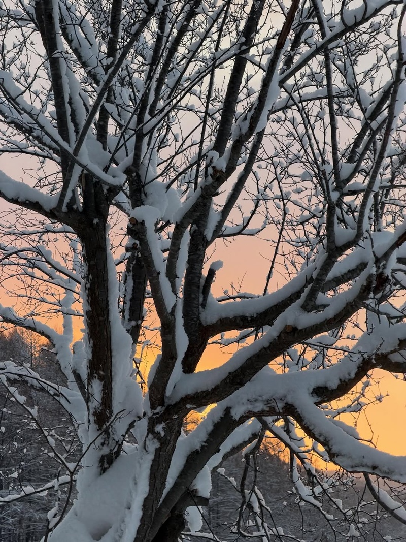 เต้ย จรินทร์พร