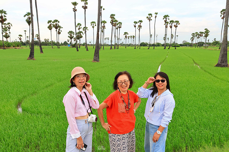 จุดชมวิวดงตาลสามโคก