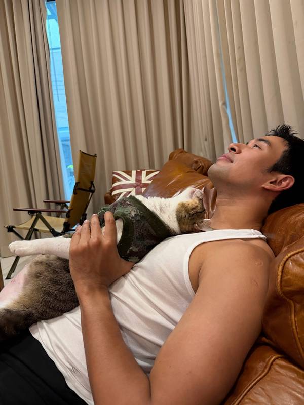 แมว เกรท วรินทร