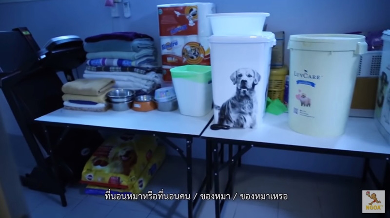 https://s359.kapook.com/pagebuilder/6e4f7392-e127-4242-bdcd-24d39f768c86.jpg