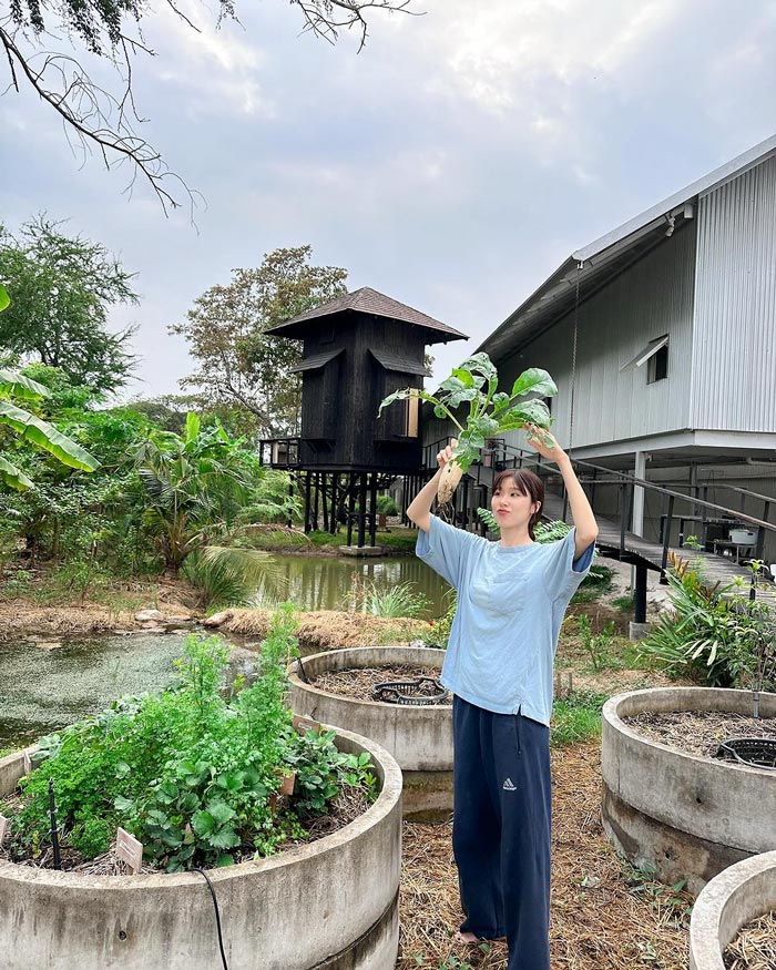 แก้ว จริญญา