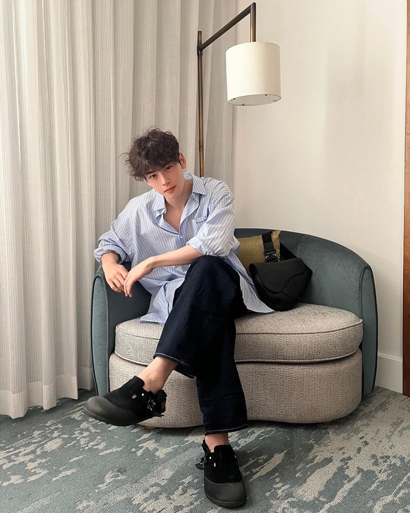 cha eun woo ชาอึนอู