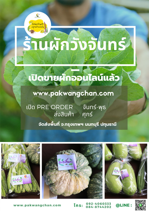 ผักวังจันทร์