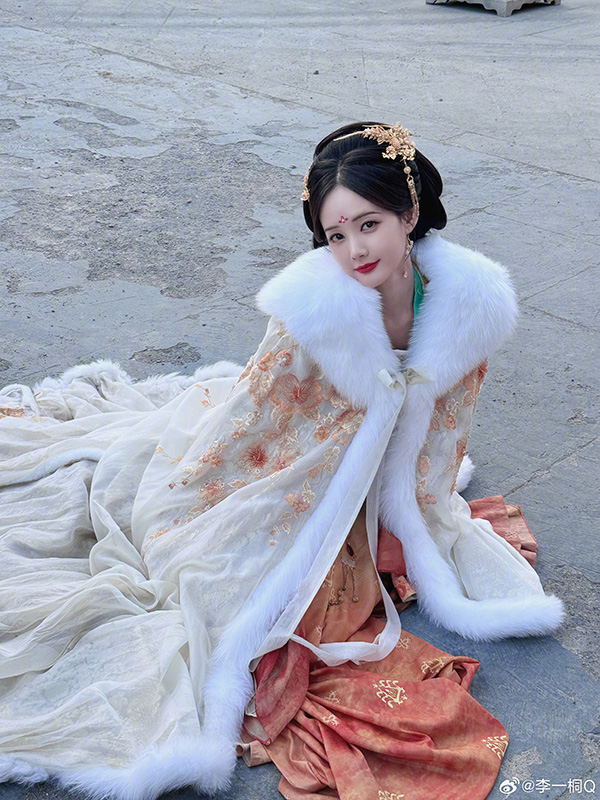 หลี่อี้ถง ประวัติ