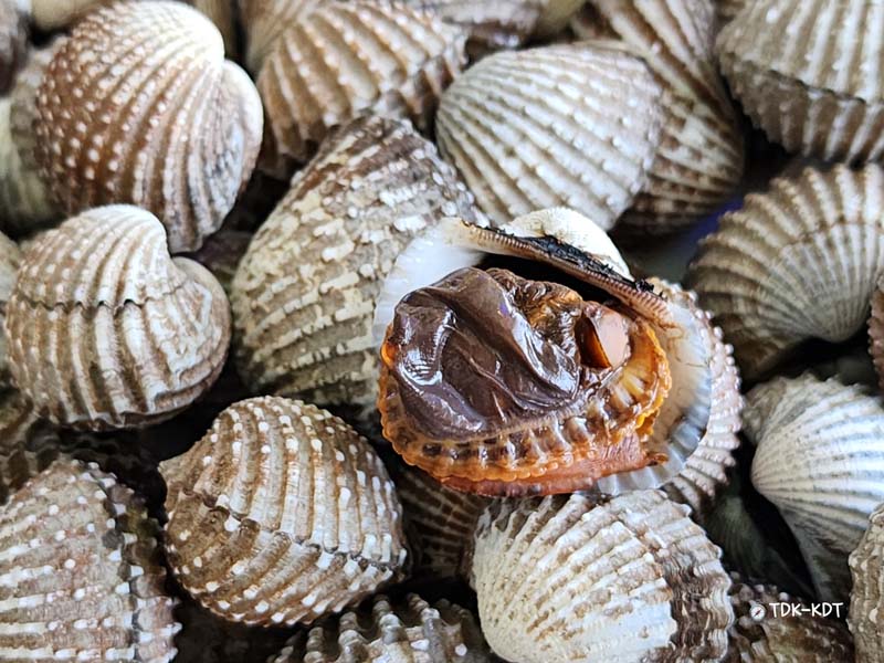 ซีฟู้ดราไวย์ 