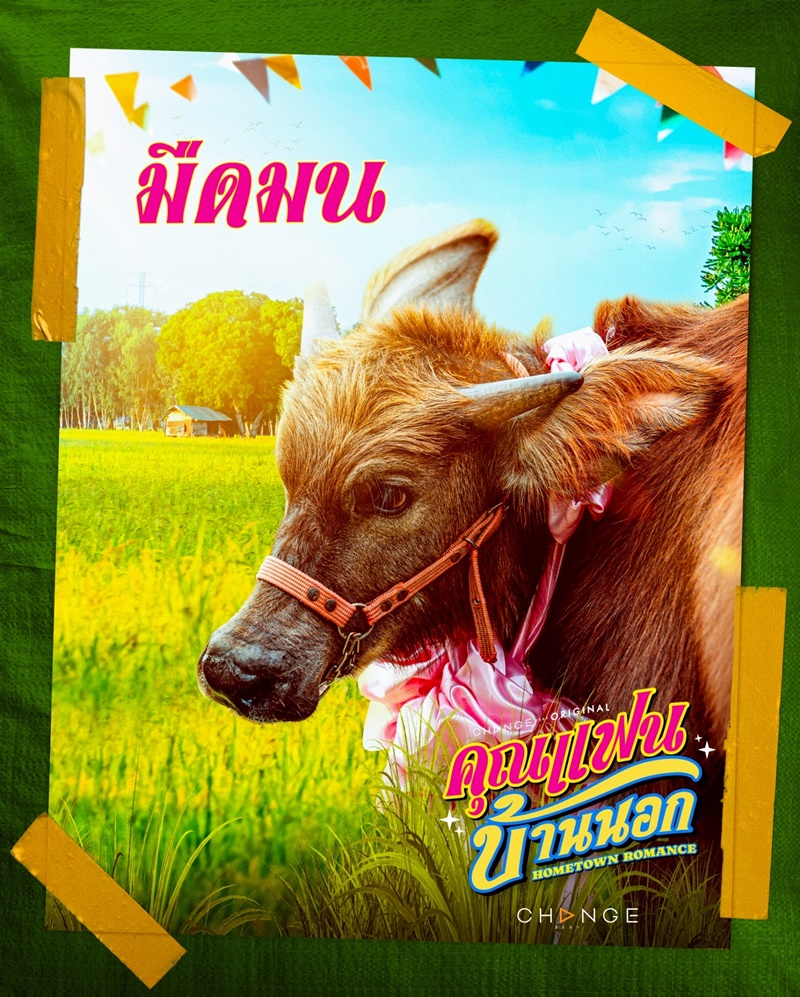 คุณแฟนบ้านนอก มืดมน