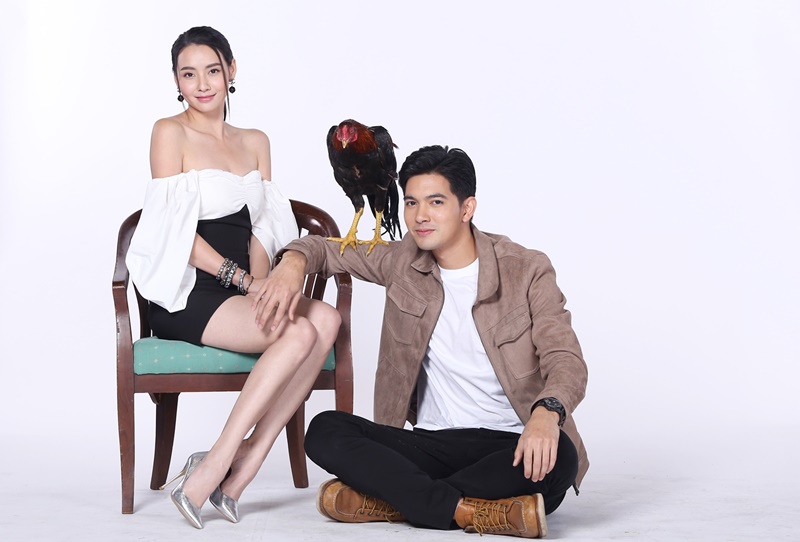  เขยบ้านไร่สะใภ้ไฮโซ