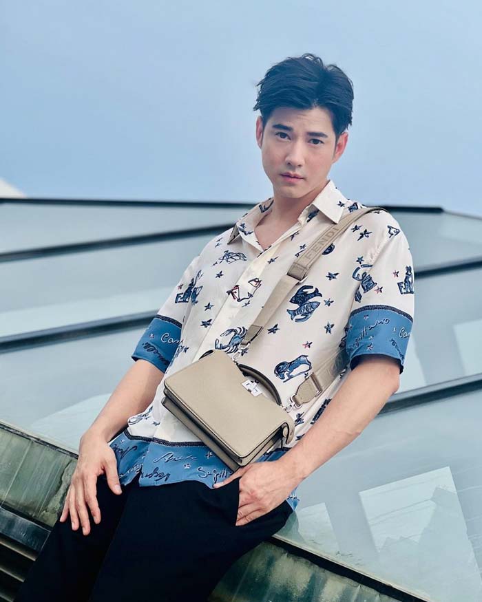 มาริโอ้ เมาเร่อ