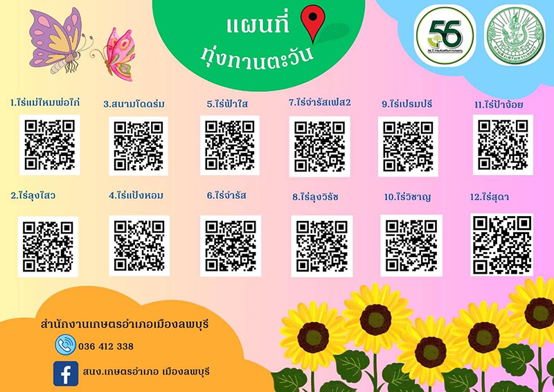 ทุ่งทานตะวัน 2566