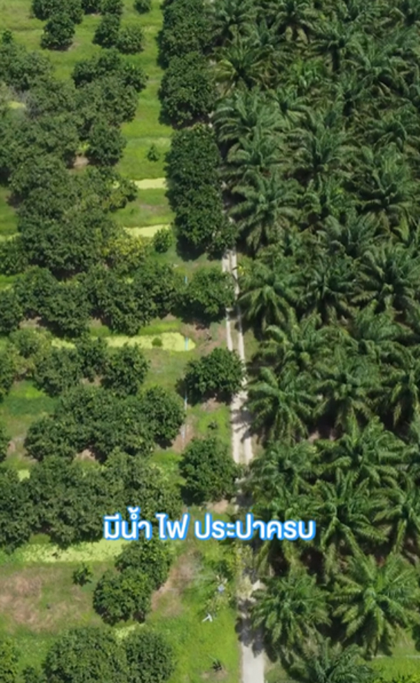 เจมส์ เรืองศักดิ์ ประกาศขายสวน