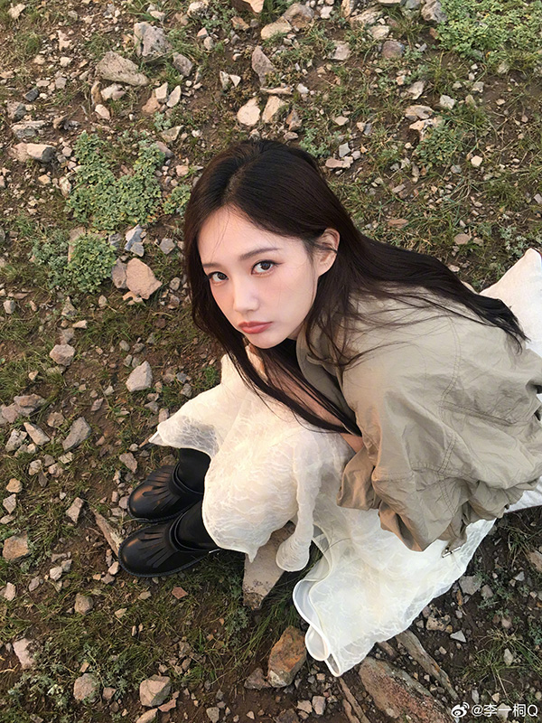 หลี่อี้ถง ประวัติ