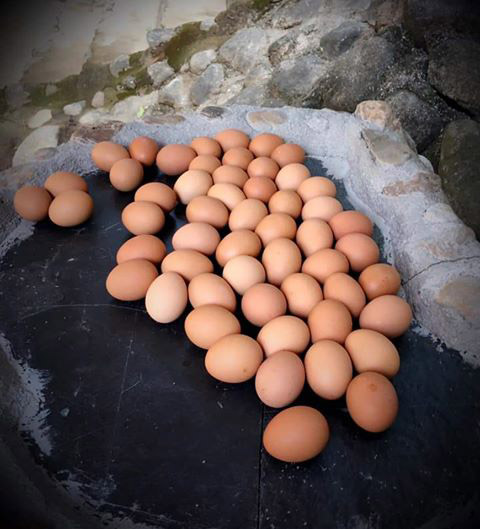 ศูนย์เรียนรู้เฌอซี๊ญ่า ตลาดไกวเปล