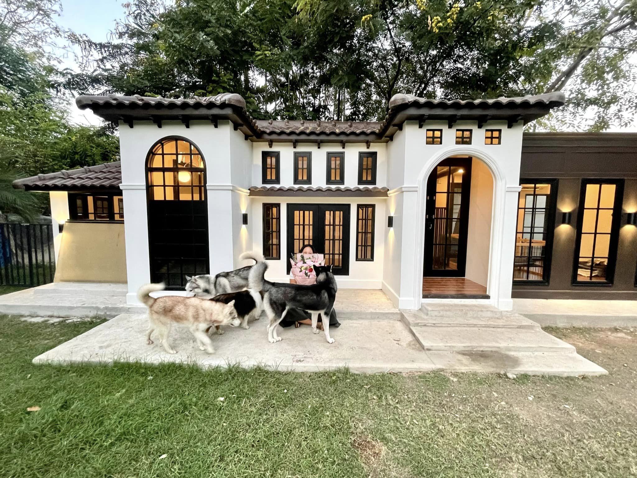 บ้านหมา