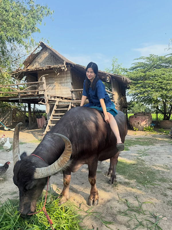 ก้อย อรัชพร