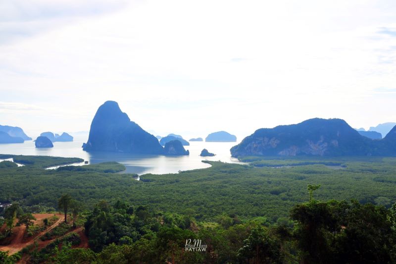 จุดชมวิวเสม็ดนางชี