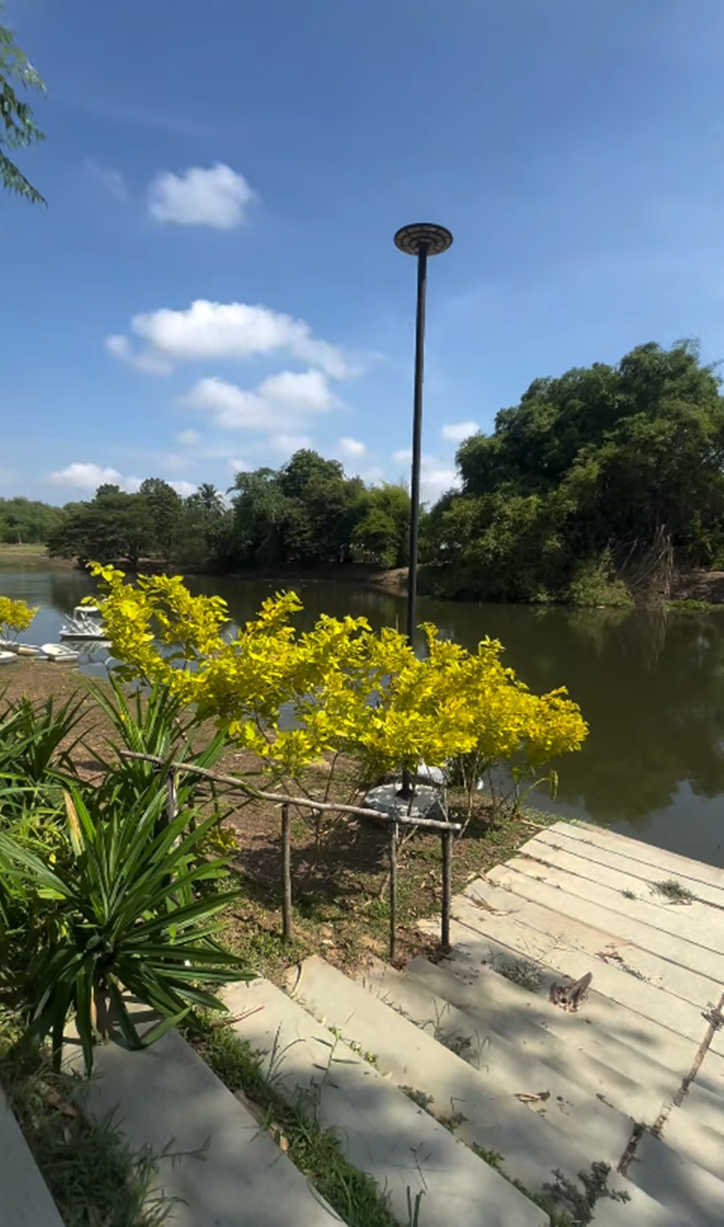บ้านสวนฮาย อาภาพร