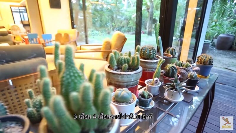 บ้านต๋อย ไตรภพ