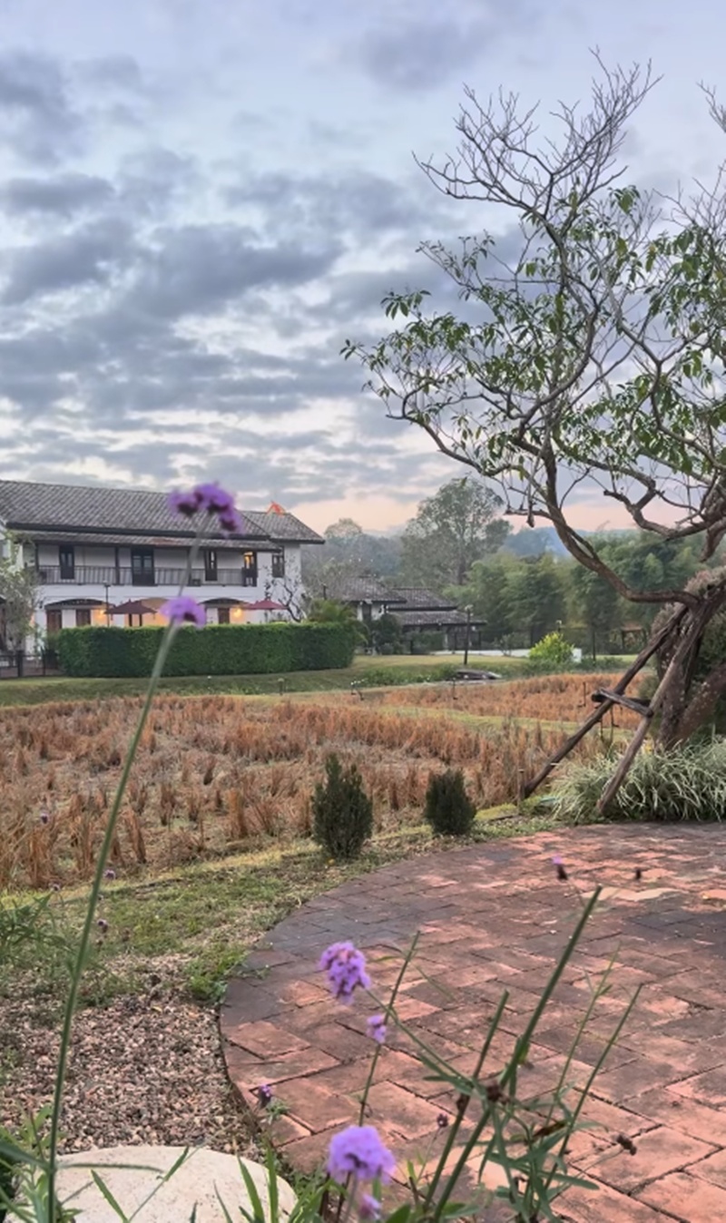 แอน ทองประสม