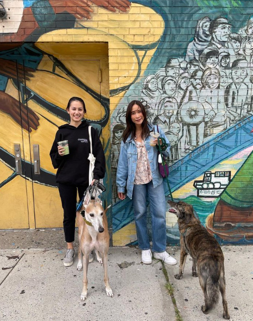 คลอดีน อทิตยา ประวัติ