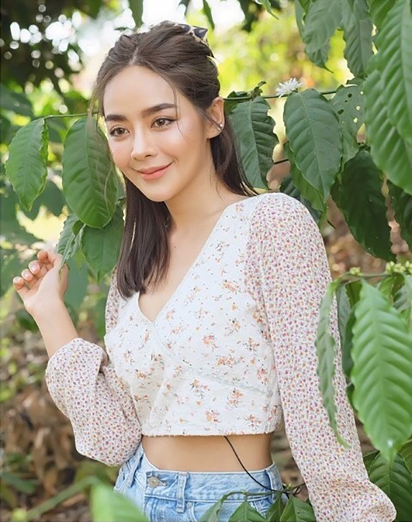 ปุยฝ้าย AF 