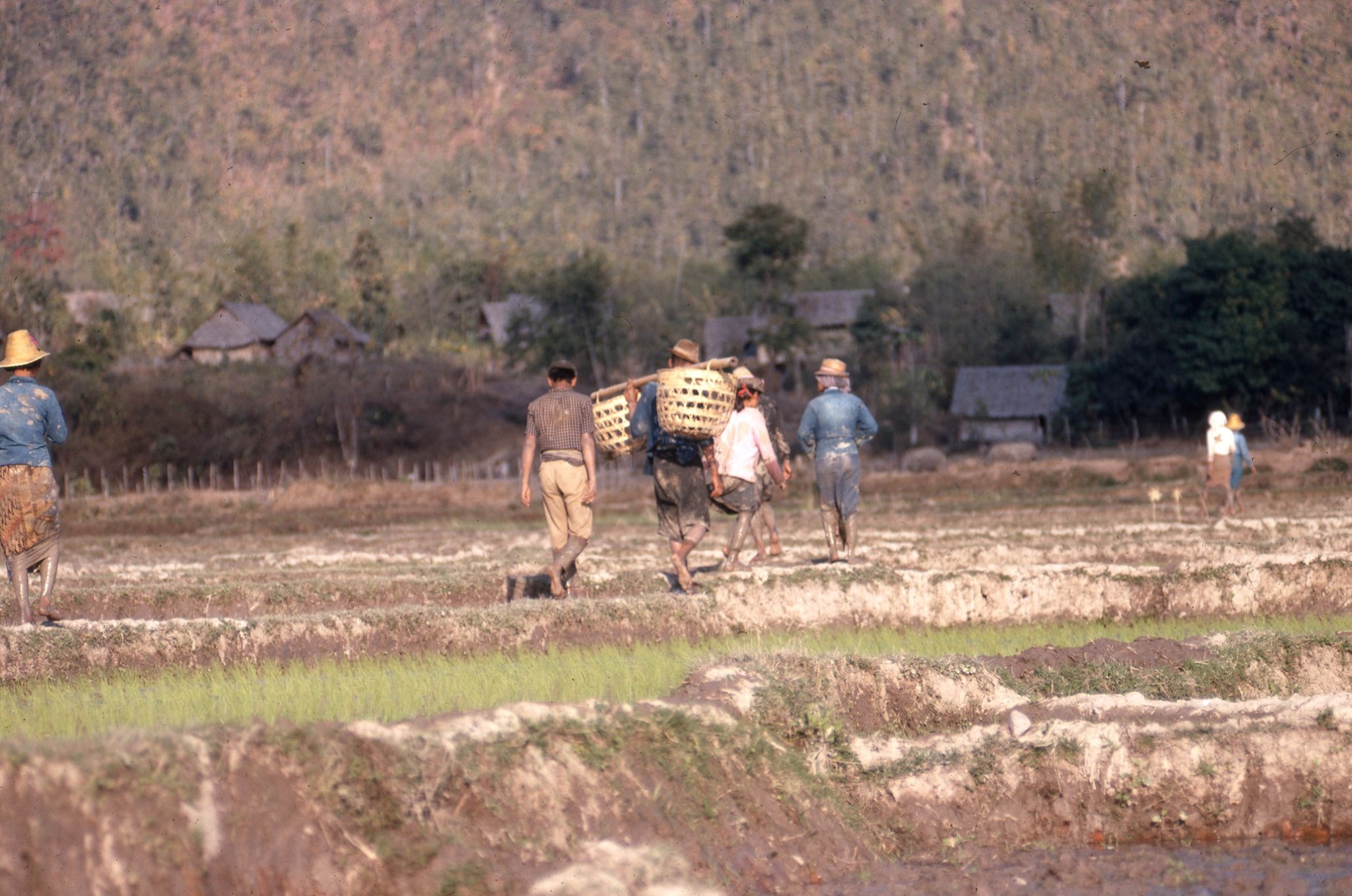 แม่ฮ่องสอน