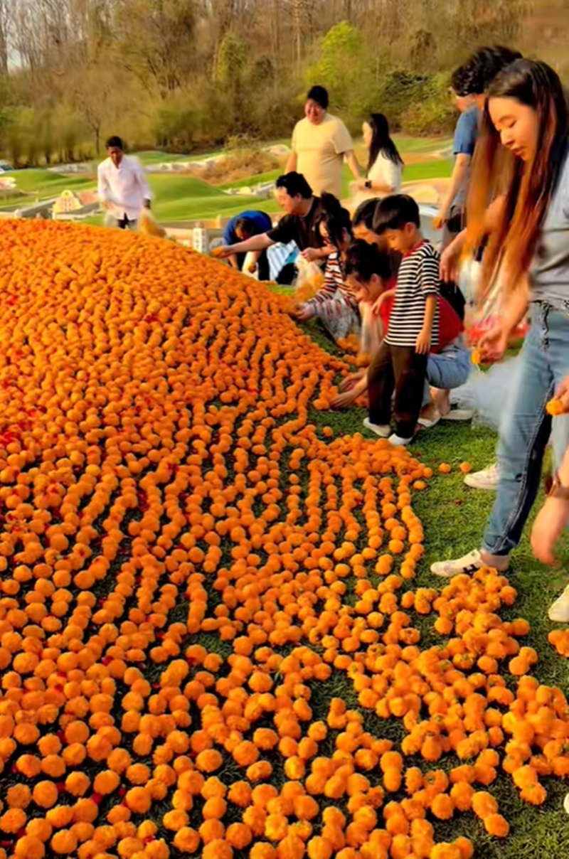 บ้านอาม่า อากง