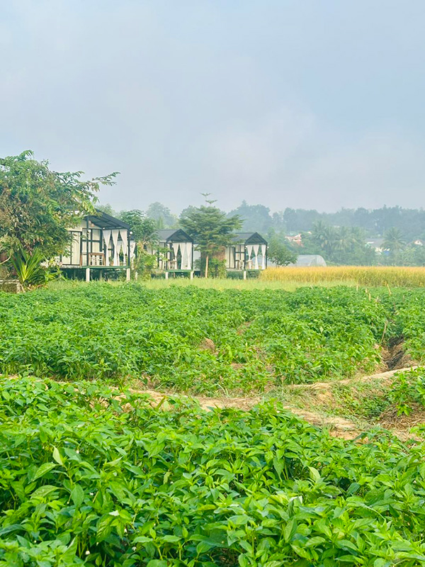 Viewna Little Home น่าน