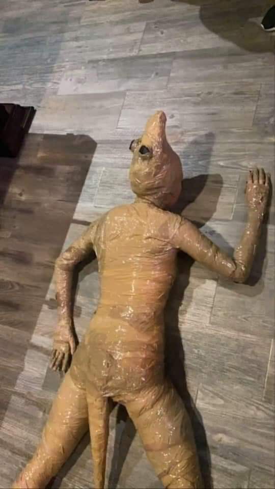 แต่งคอสเพลย์