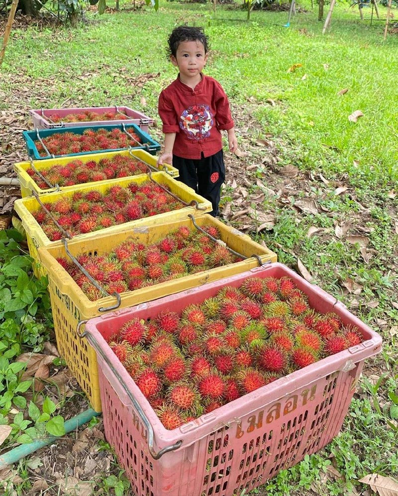 น้องโพธิ์ ลูกชาย ชาคริต