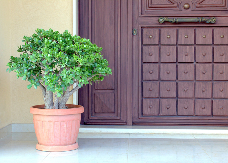 จัดบ้านให้โล่ง ทางเดินสะดวก จุดรับชี่ดูสว่างน่าเข้า