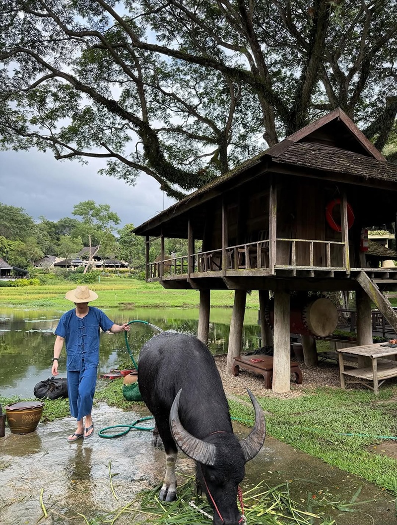 วิน เมธวิน