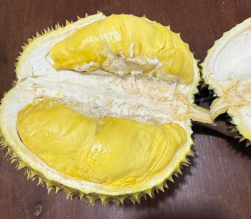 สวนผลไม้จันทบุรี 2569 บ้านสวนอิสรีย์เกษตรอินทรีย์และฟาร์มม้าเมืองจันท์