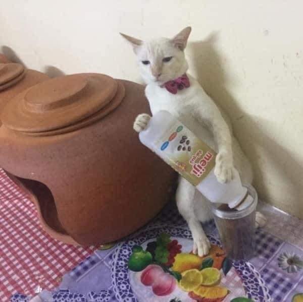 ทำงานบ้าน