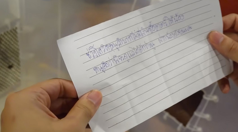 ดราม่า... อู๋จุน เจอทิ้งชิวาว่าให้เลี้ยง 