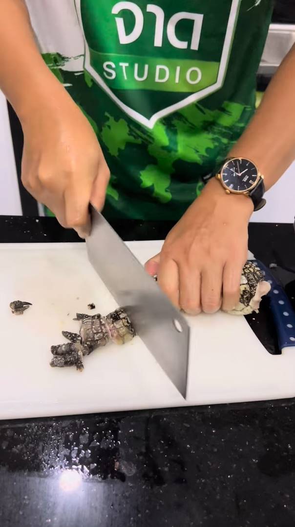 กระต่าย พรรณนิภา กินผัดเผ็ดจระเข้