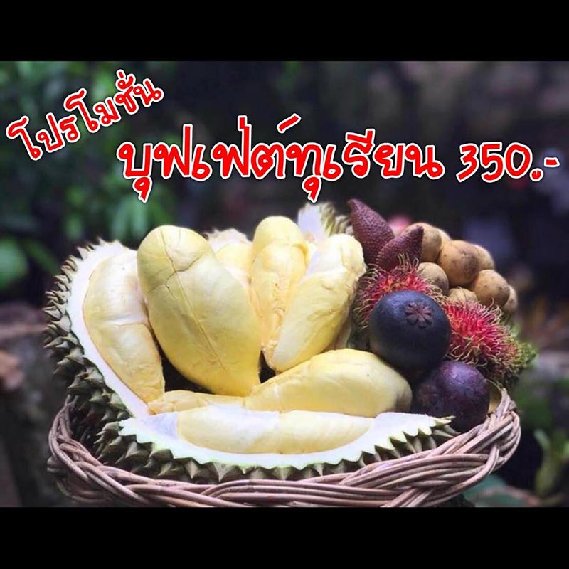 My Image 23