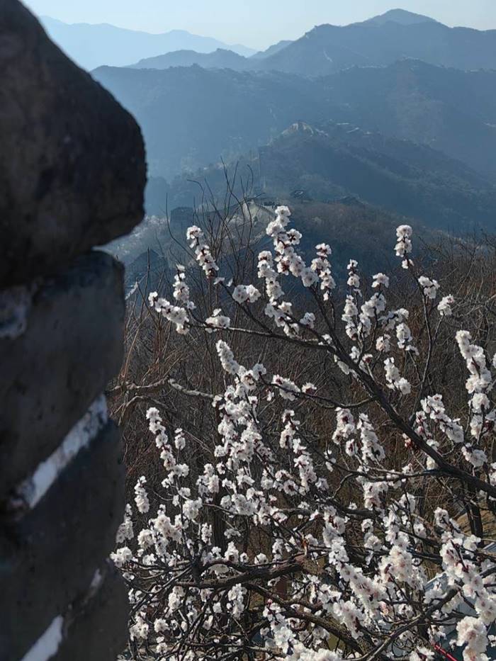   ก้อง สหรัถ เที่ยวจีน