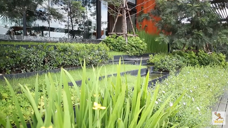 บ้านหนึ่ง ณรงค์วิทย์