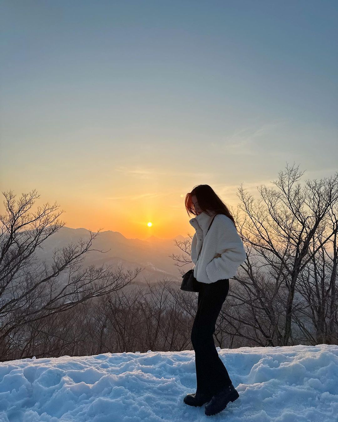 ใบเฟิร์น พิมพ์ชนก