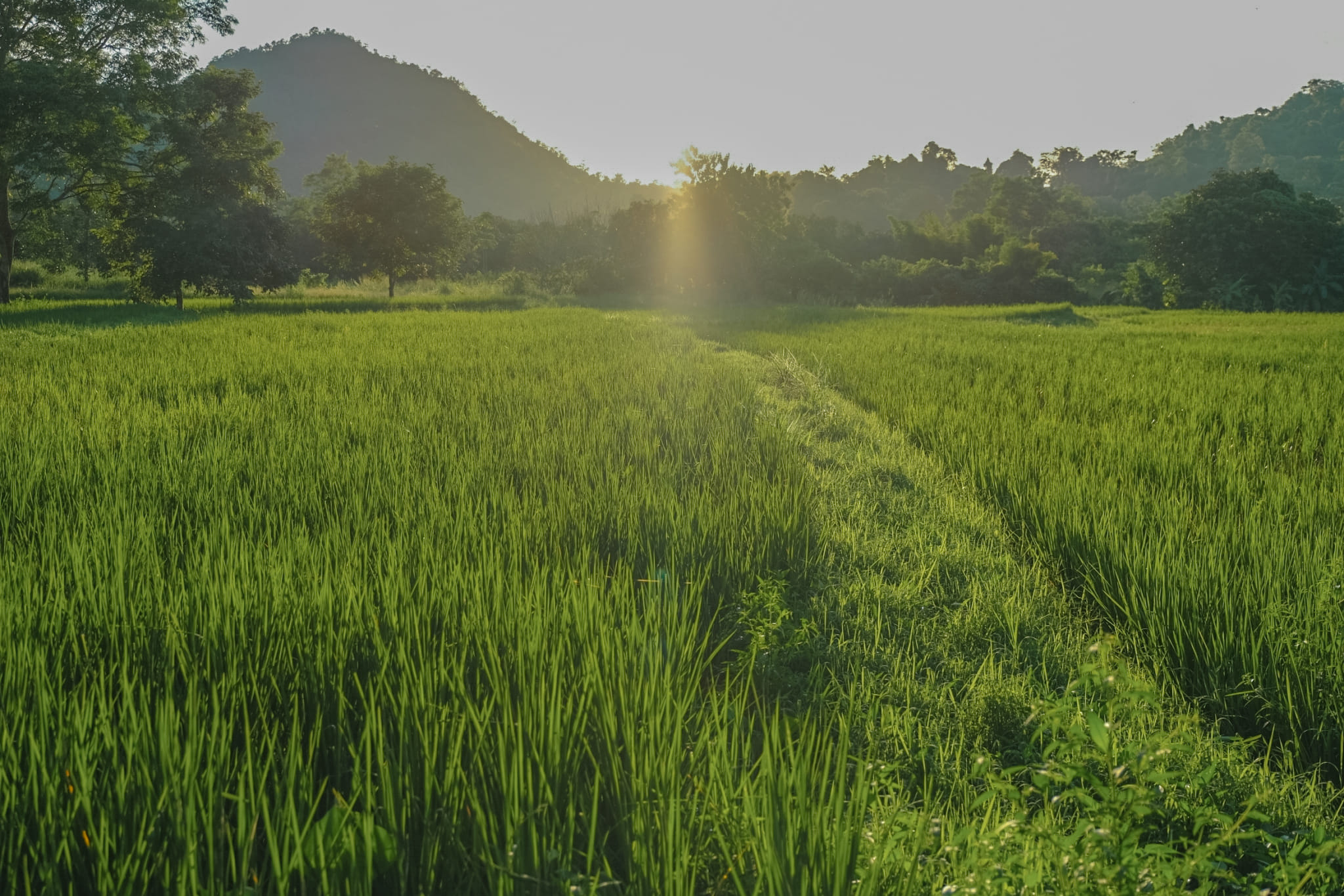 บ้านไร่ลุงคริส