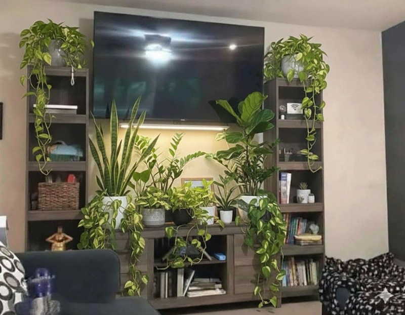 ไอเดียแต่งบ้าน