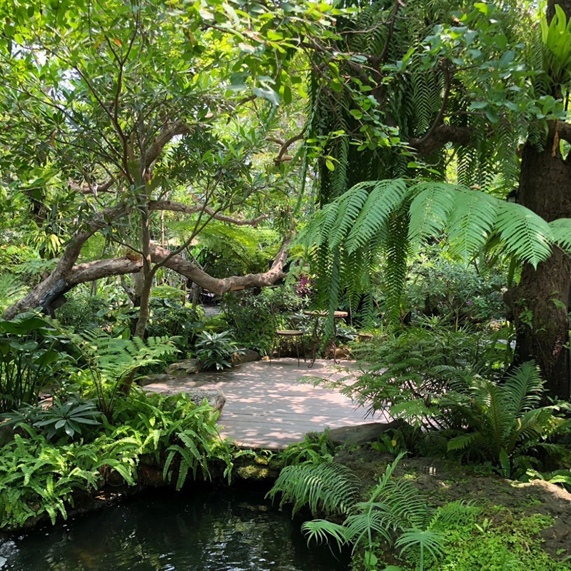 Plantnery Green Café บรรยากาศร้าน