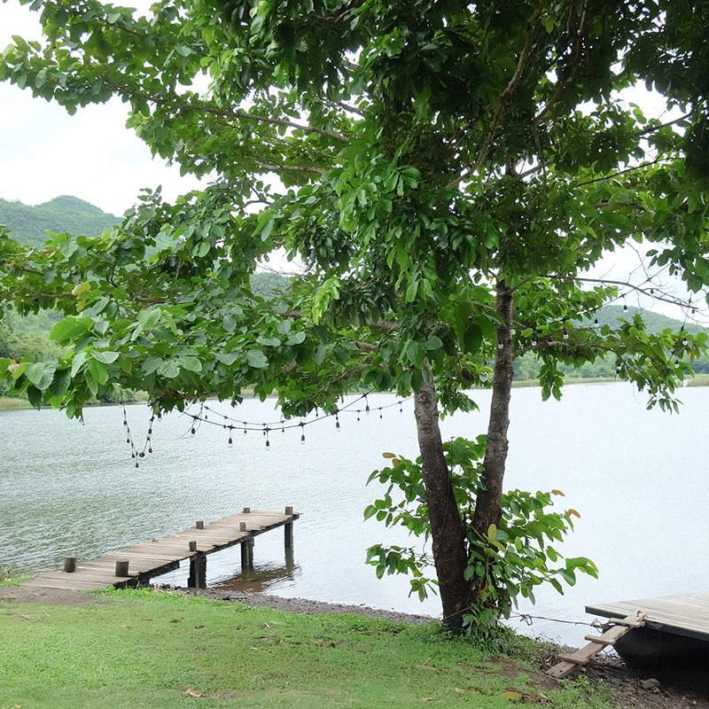 คาเฟ่ริมทะเลสาบ