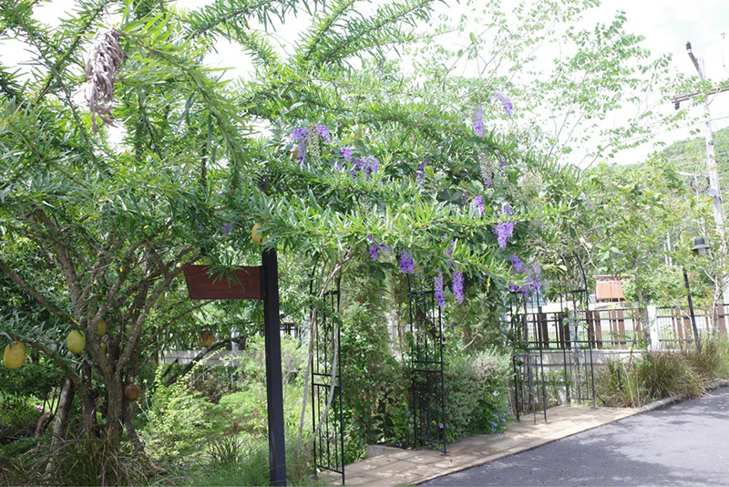 Little Forest Coffee House at แก่งกระจาน