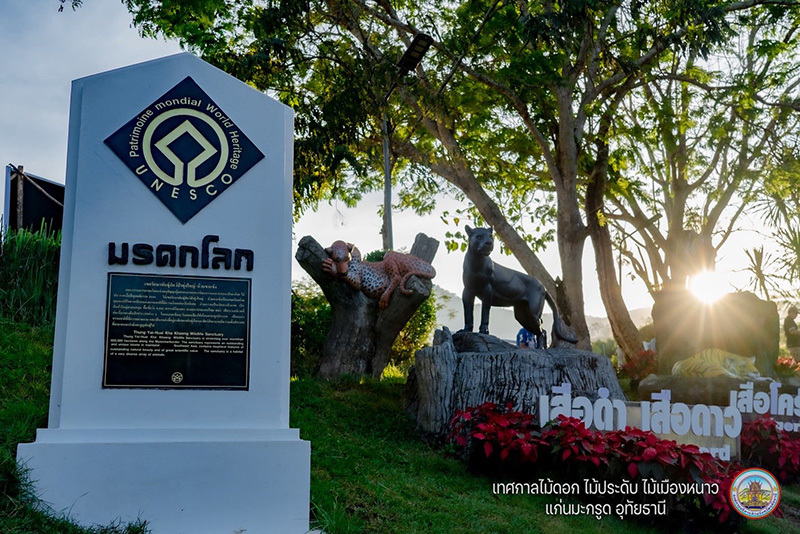 เทศกาลไม้ดอกไม้ประดับ ไม้เมืองหนาว แก่นมะกรูด 2568